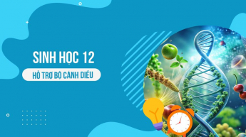 Bài 8. Di truyền liên kết giới tính, liên kết gene và hoán vị gene - Hoán vị gene