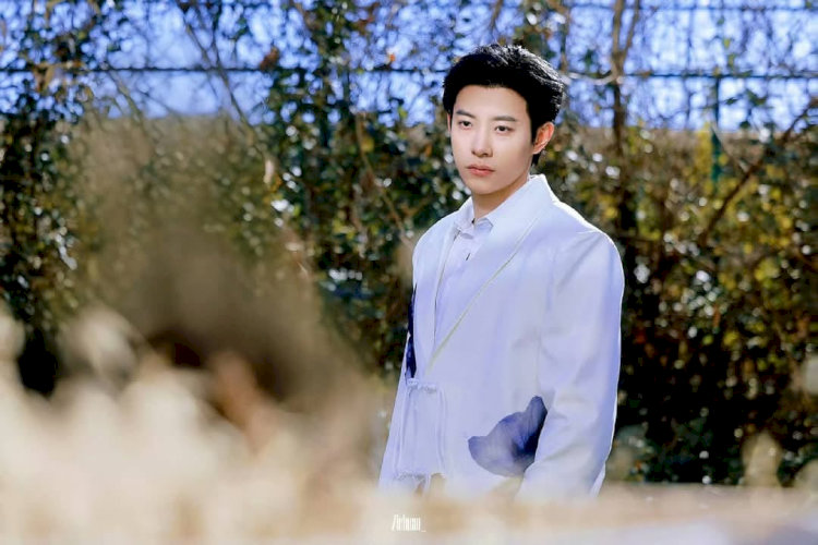 Mã Tiểu Vũ: Sự nghiệp, sức hút & 7 bộ phim hay nhất