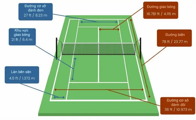 Kích Thước Sân Tennis Chuẩn Là Bao Nhiêu? So Sánh Sân Đơn, Đôi, Mini